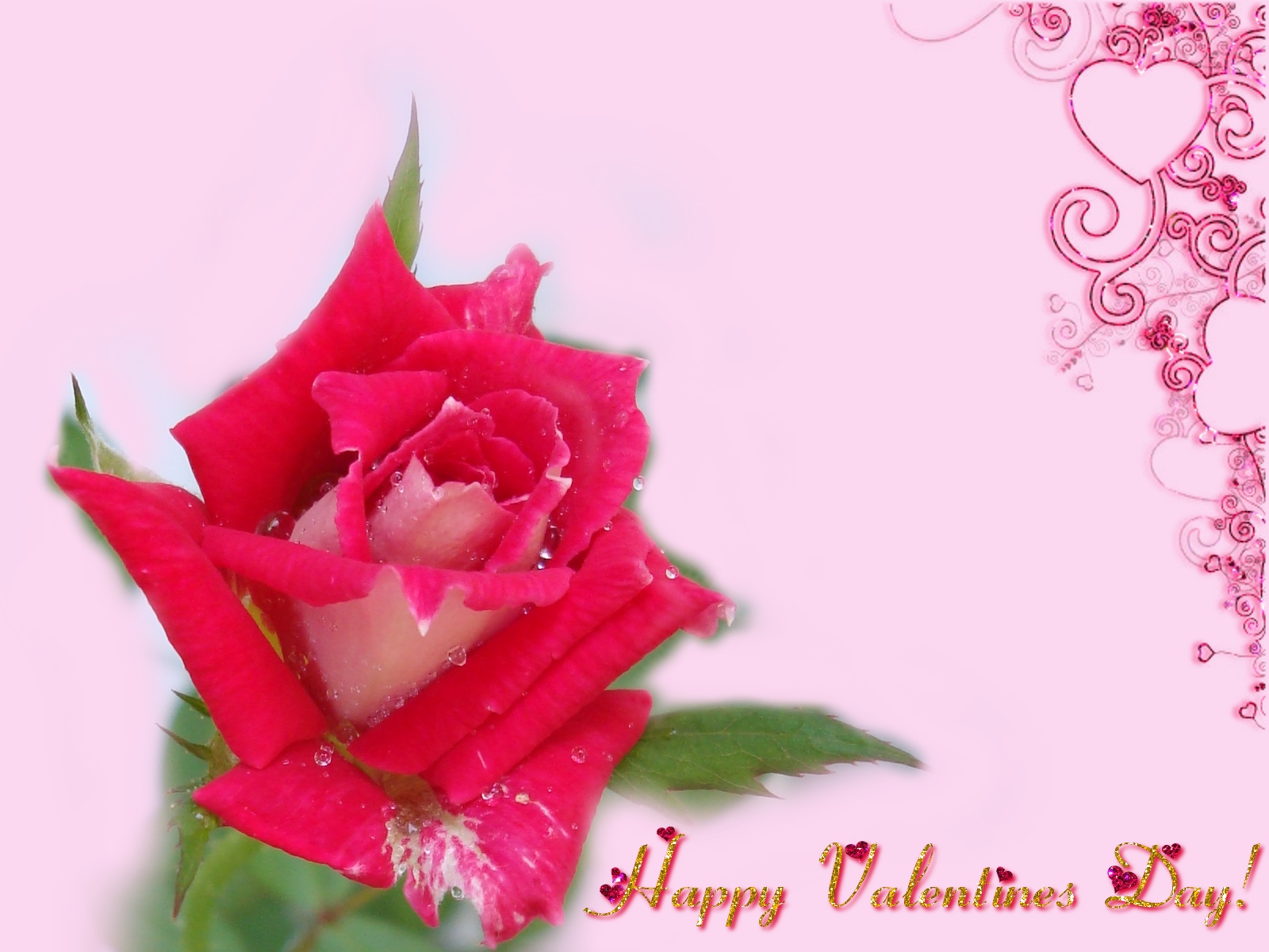 Happy Valentines Day Red Rose - Happy Valentines Day - HD Wallpaper 