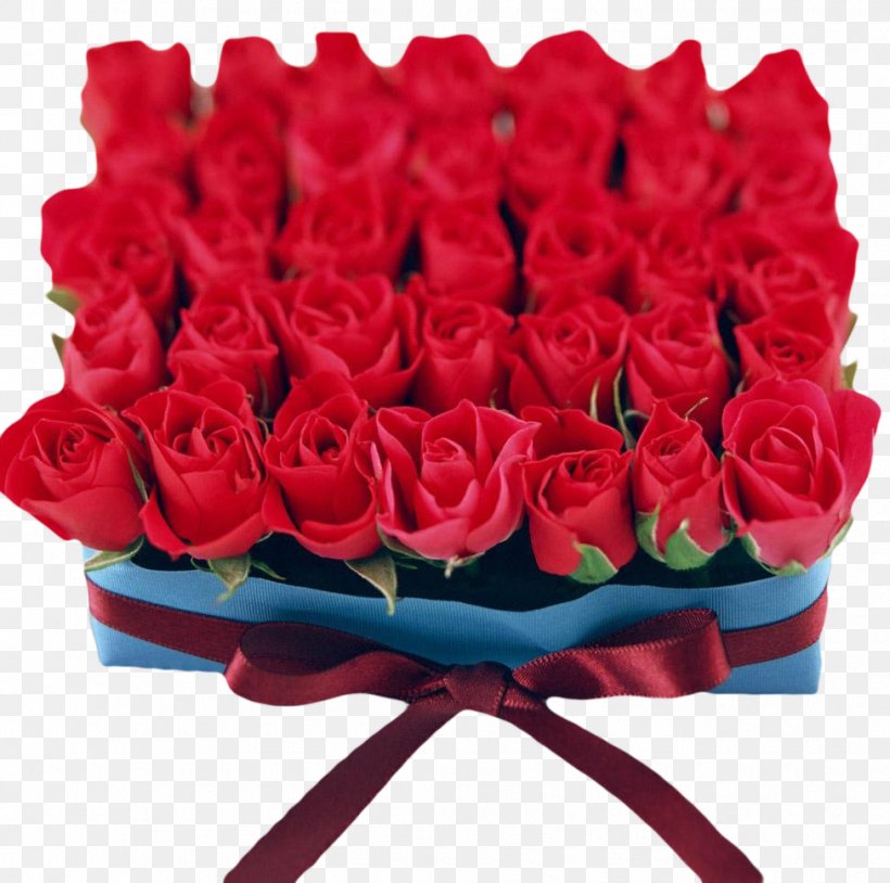 Valentine S Day Flower Rose Wallpaper, Png, 976x969px, - Rose Flower - HD Wallpaper 