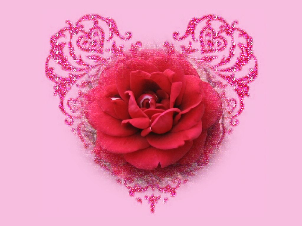 Wallpaper - HD Wallpaper 