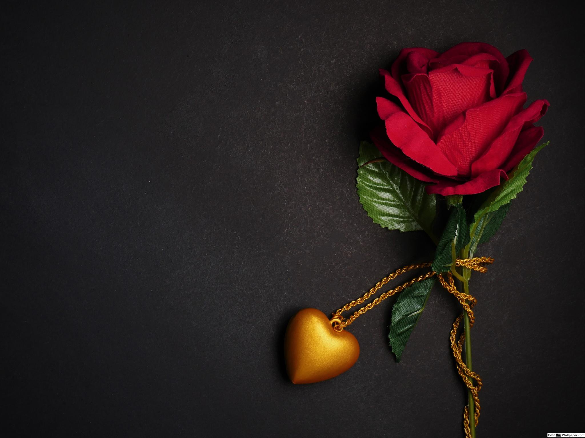 Hd Love In Black Background - 2048x1536 Wallpaper 