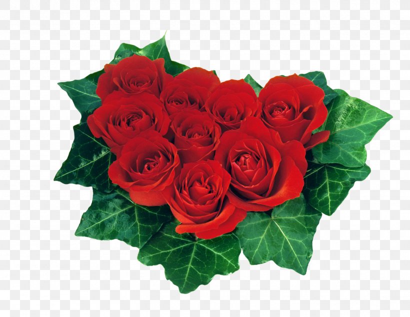 Heart Valentine S Day Rose Red Desktop Wallpaper, Png, - Roses And Hearts - HD Wallpaper 
