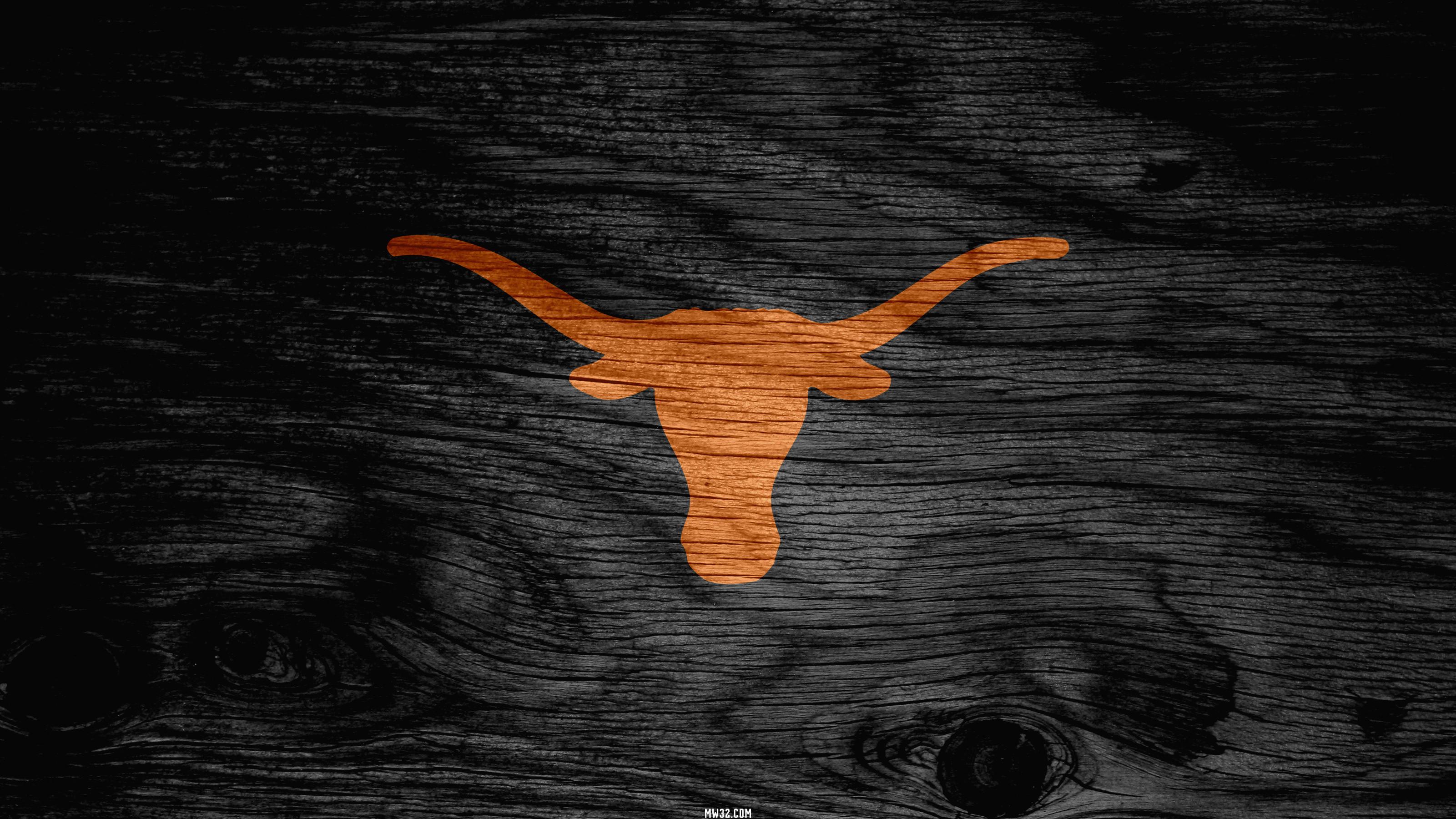 Longhorn Wallpaper - Bull - 3201x1800 Wallpaper - teahub.io