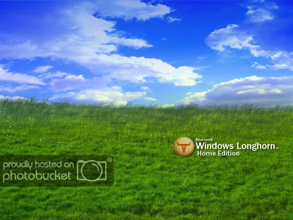 Grass - HD Wallpaper 