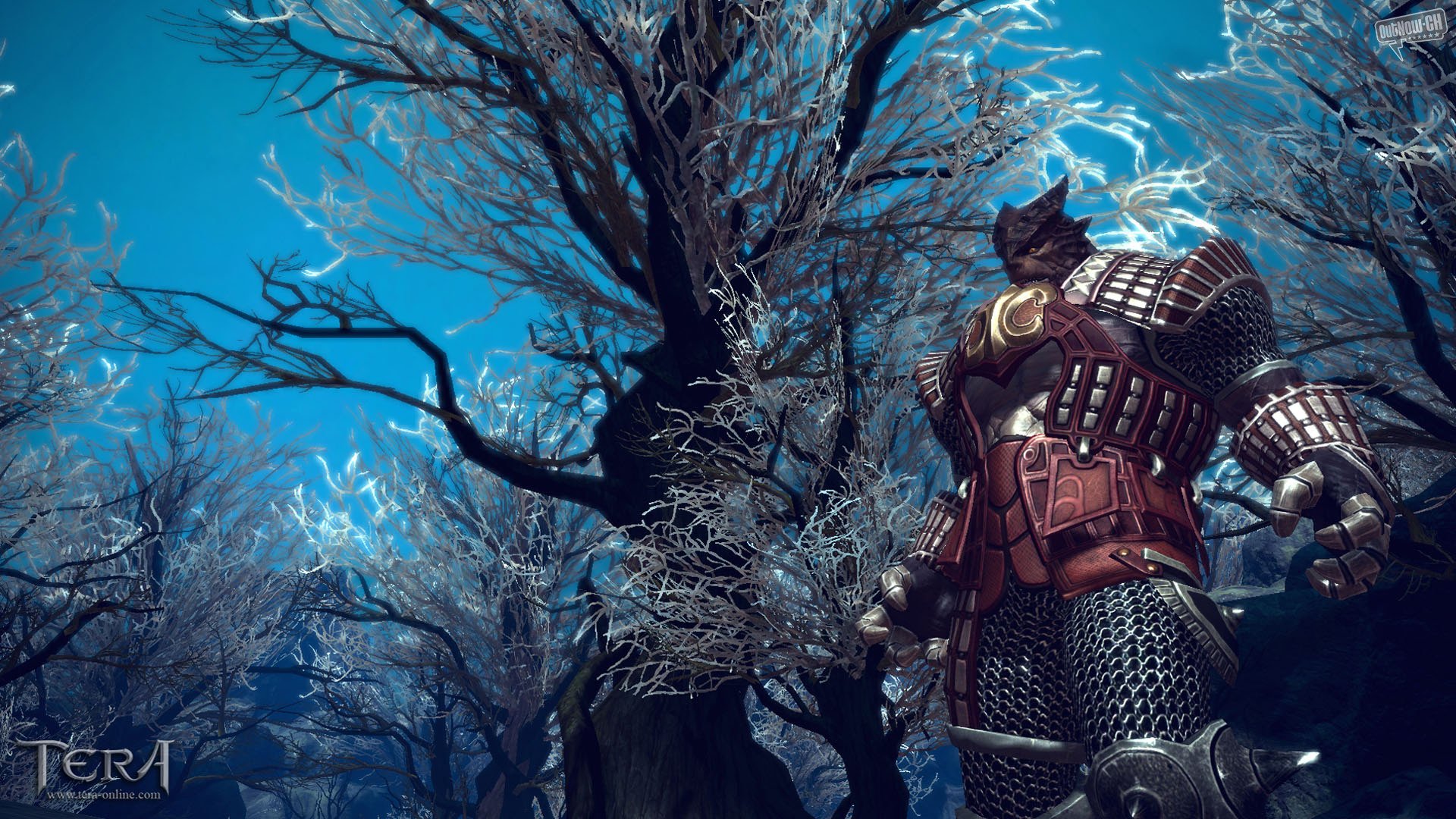 Tera Wallpaper 1920 - HD Wallpaper 