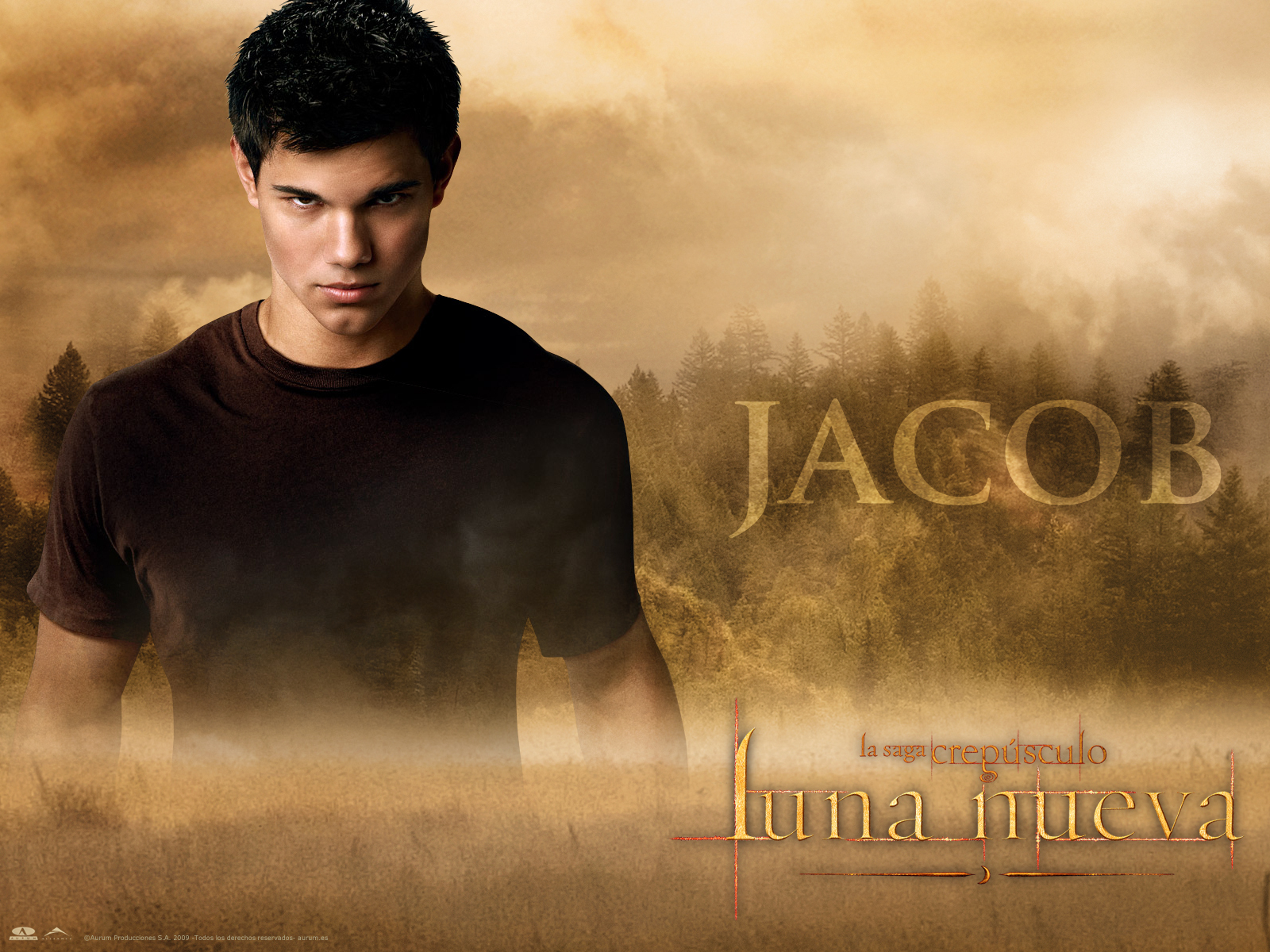 Twilight Wallpaper Taylor Lautner - HD Wallpaper 