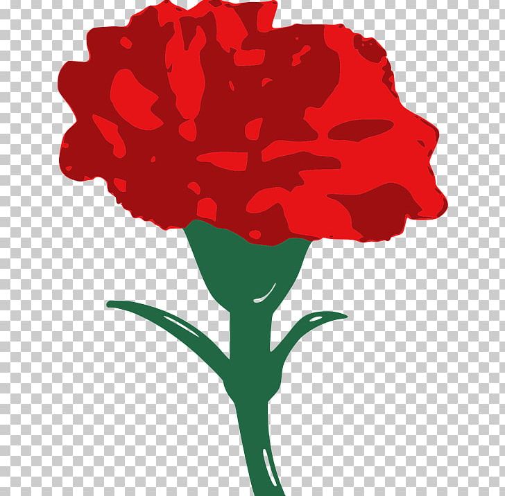Carnation Drawing Png, Clipart, Art, Artwork, Carnation, - Pfizer Png Logo Free - HD Wallpaper 