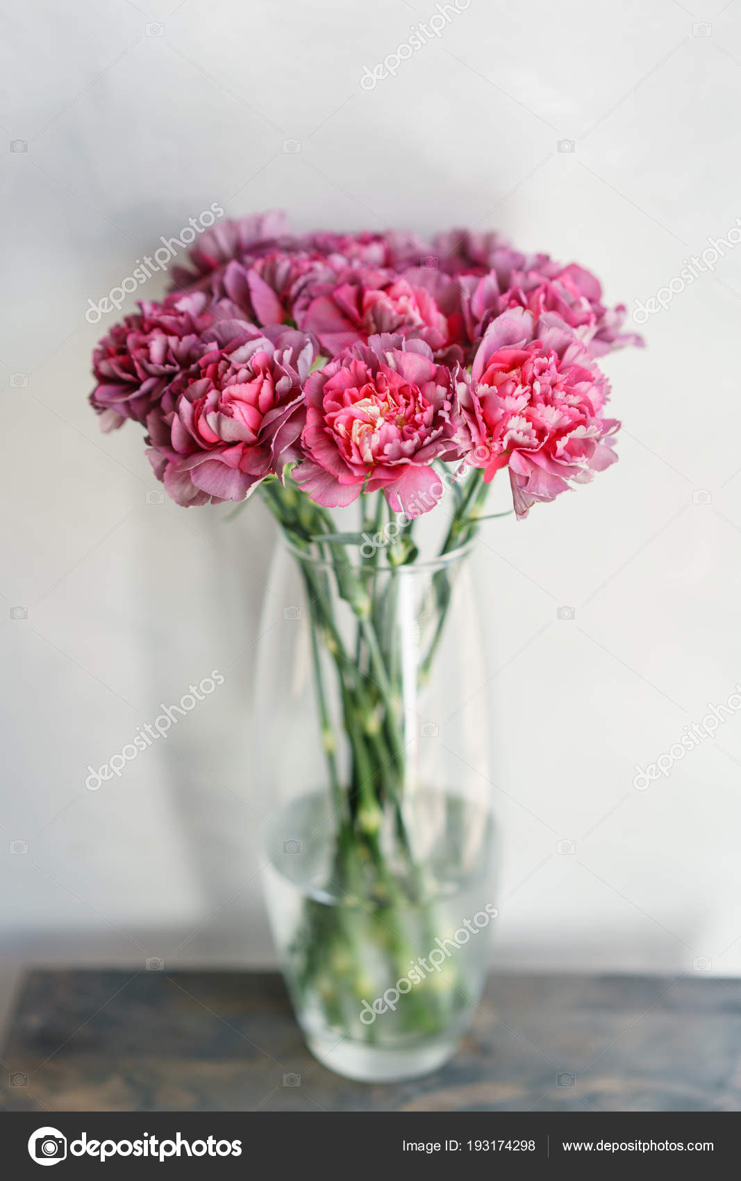 Goździki Kwiaty W Wazonie - HD Wallpaper 