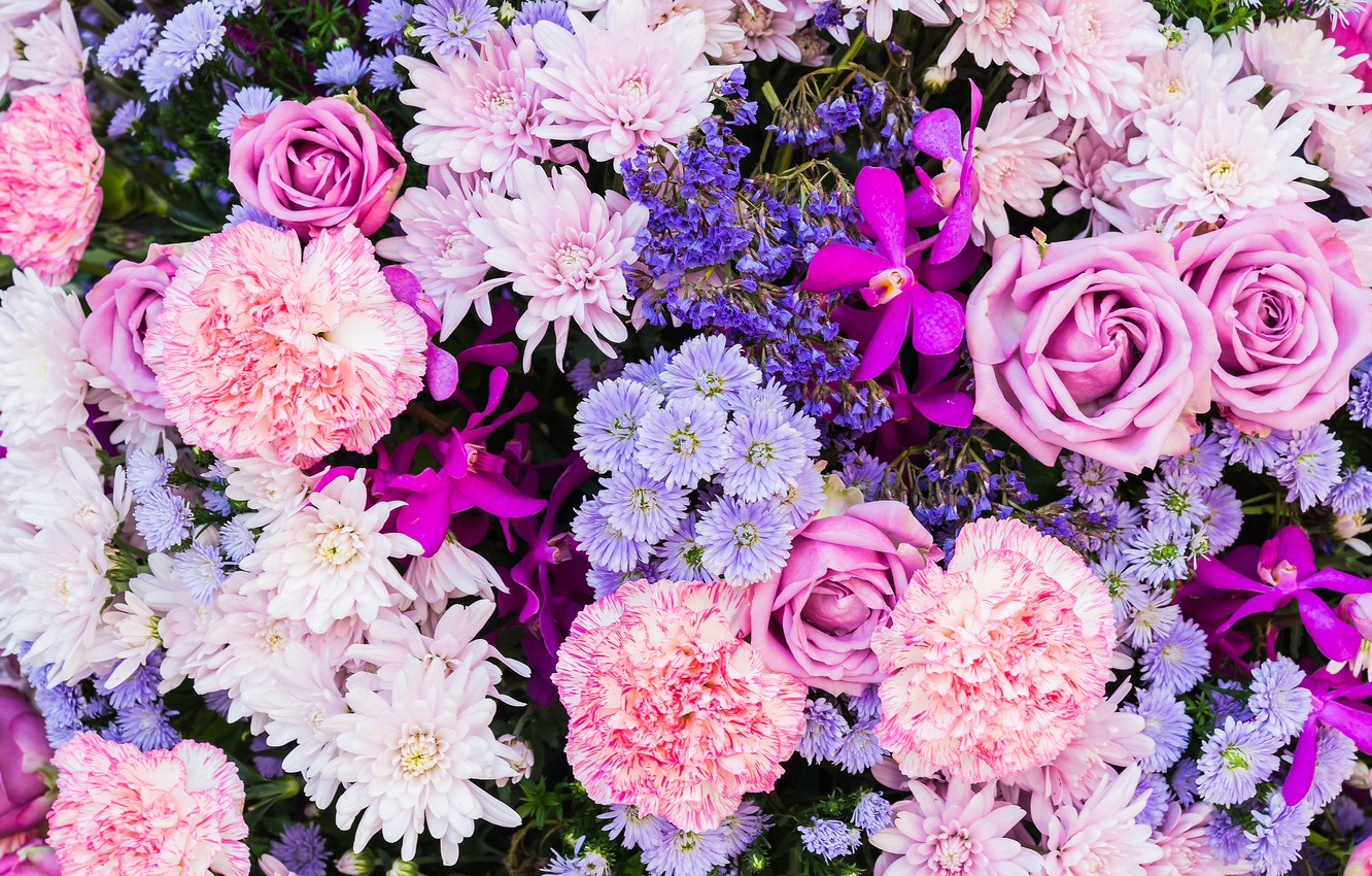 Photo Wallpaper Flowers, Roses, Astra, Carnation - Purple And Pink Flowers Background - HD Wallpaper 