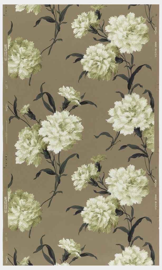 White Carnation - HD Wallpaper 