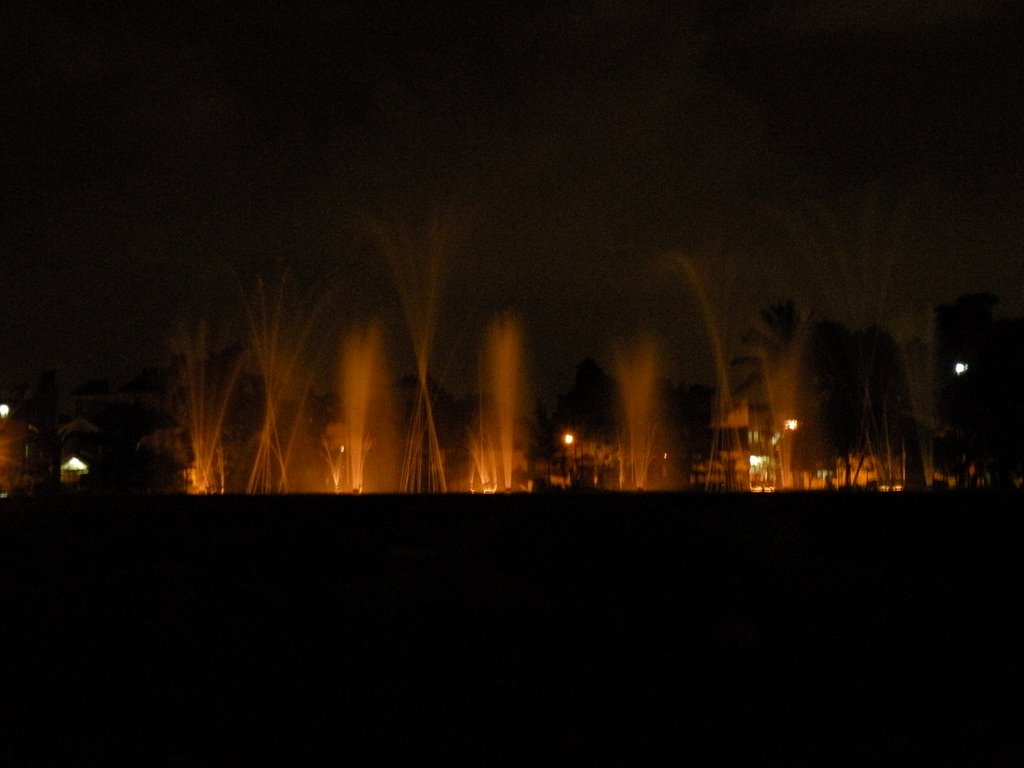 Night - HD Wallpaper 