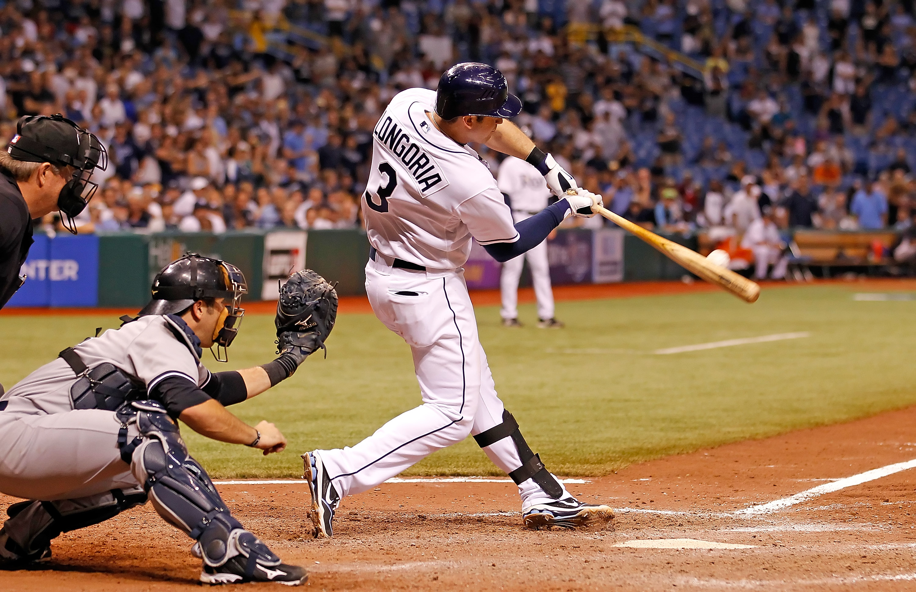 Tampa Rays - HD Wallpaper 