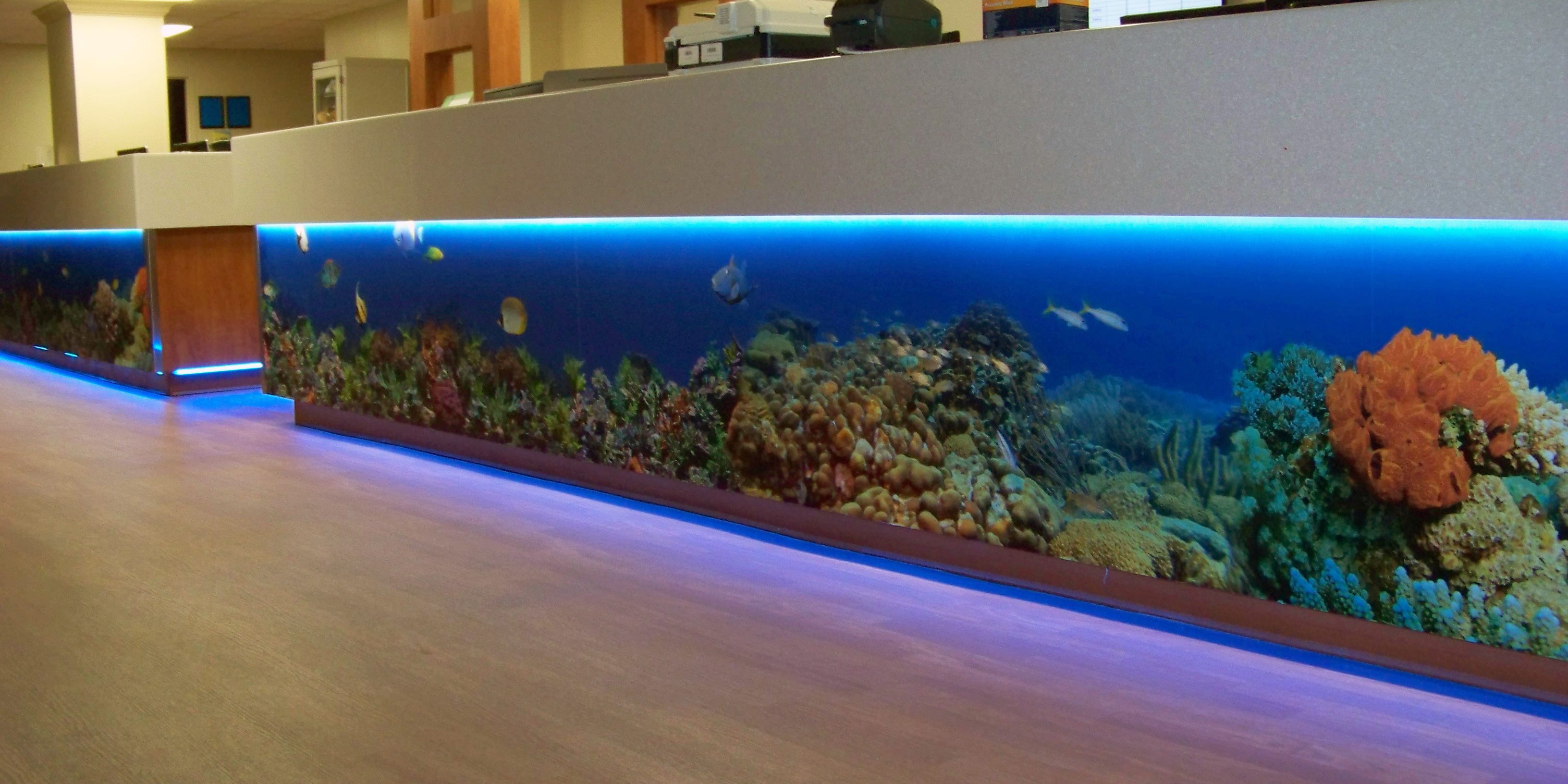 Many Thanks To Sarasota Memorial Hospital For Sharing - Aquarium - HD Wallpaper 
