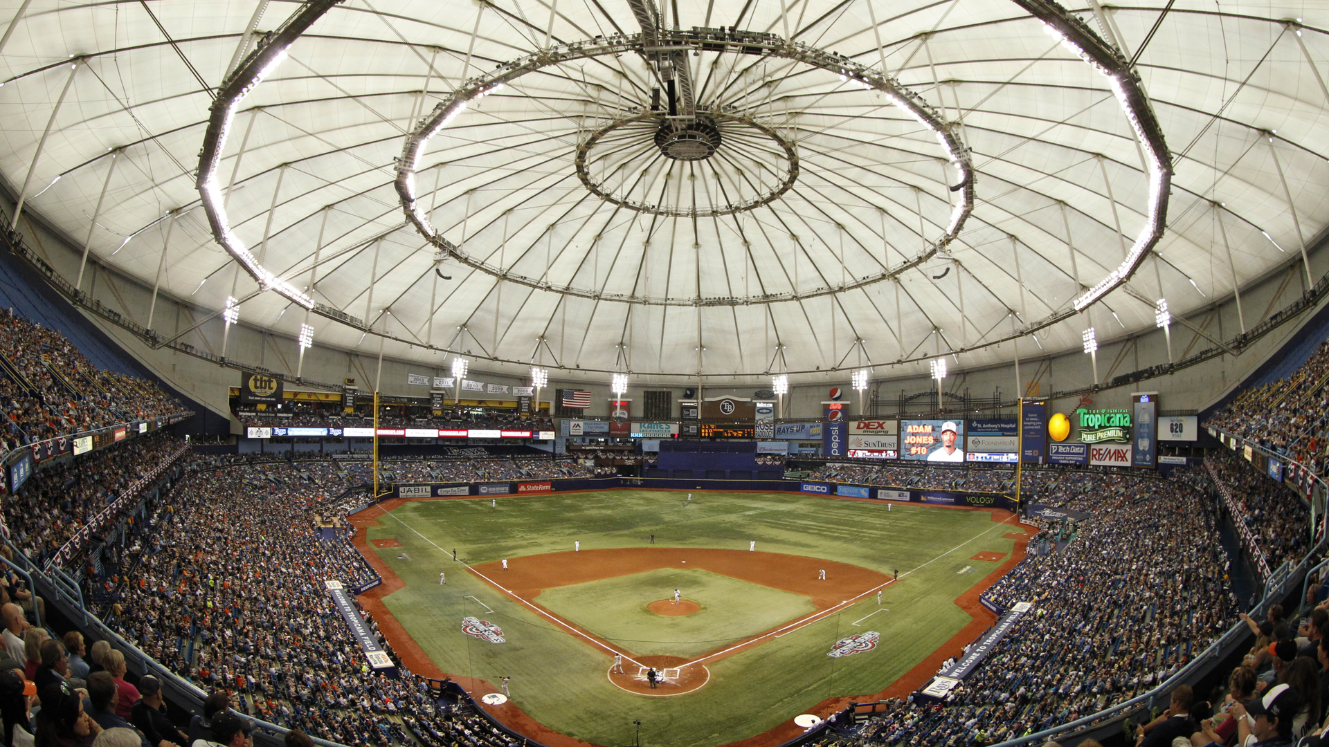 Tropicana Field - HD Wallpaper 