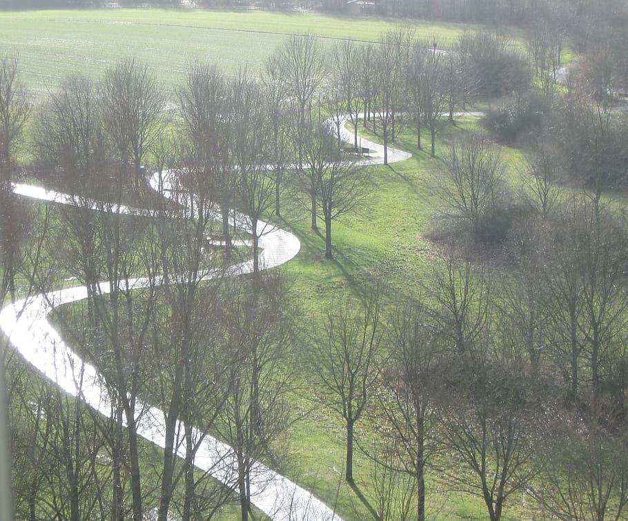 Wasting Of The Lungs Of, Away, View, Look Out The Window, - Lung - HD Wallpaper 