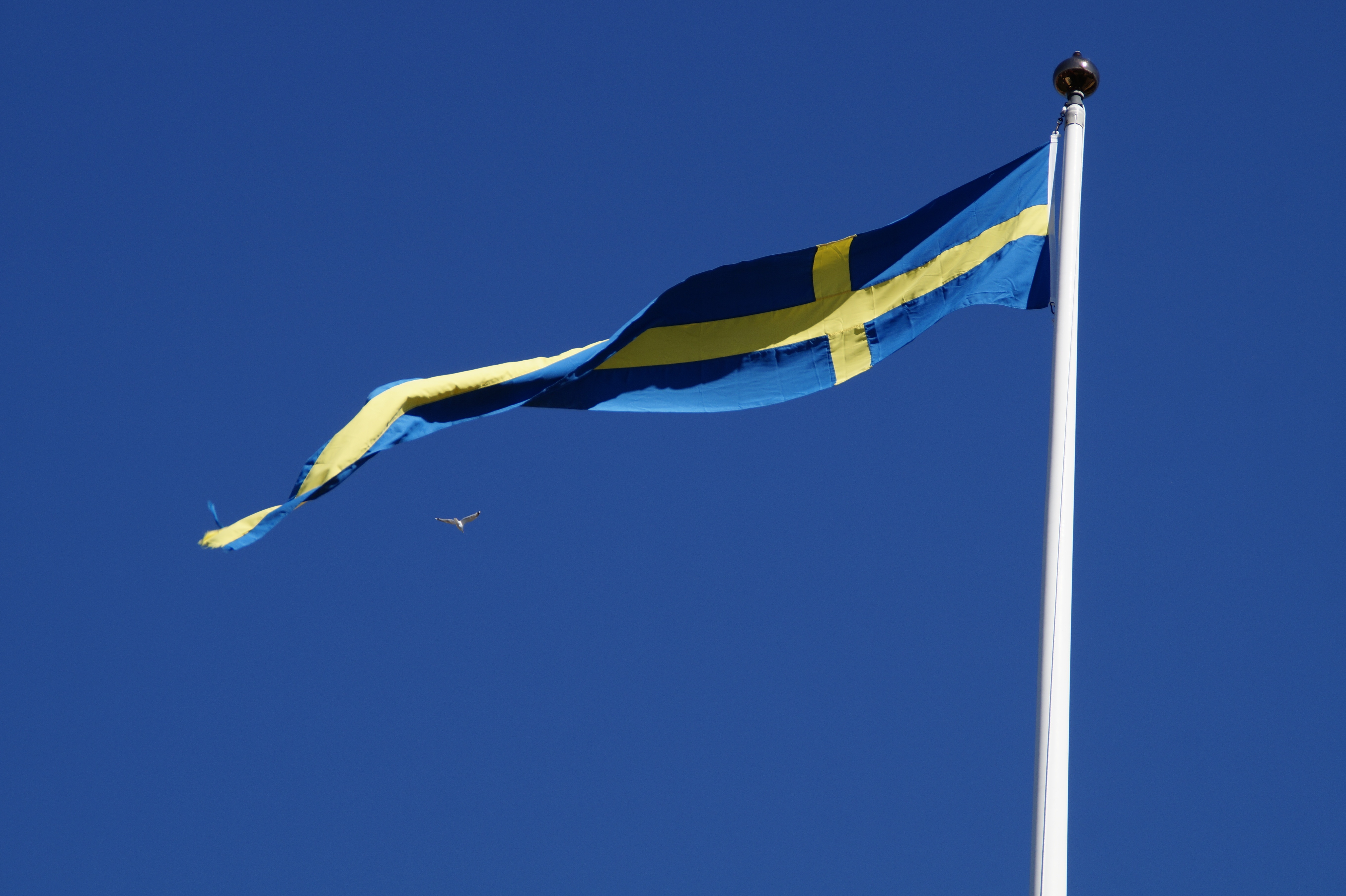 Swedish Flag - HD Wallpaper 