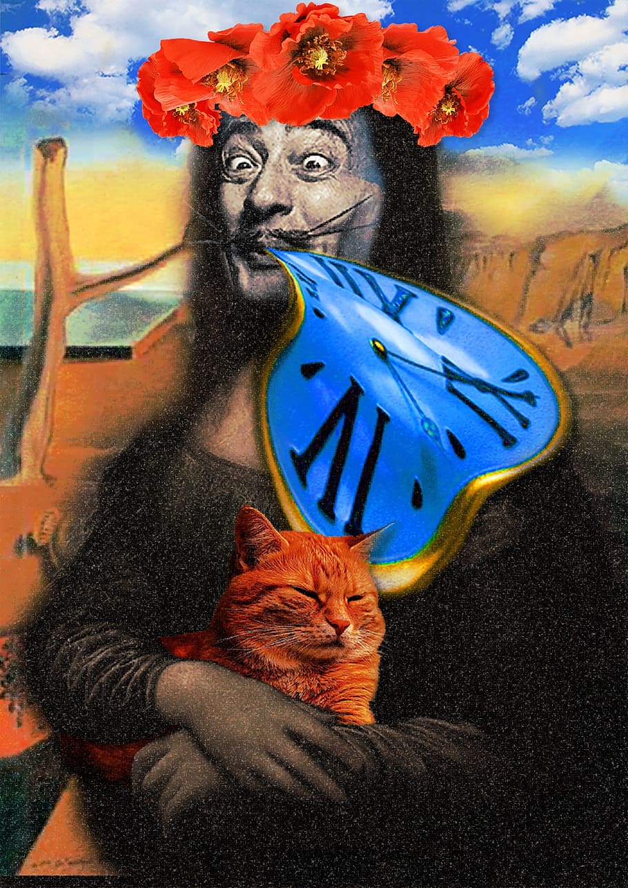 Salvador Dali De Monalisa - HD Wallpaper 