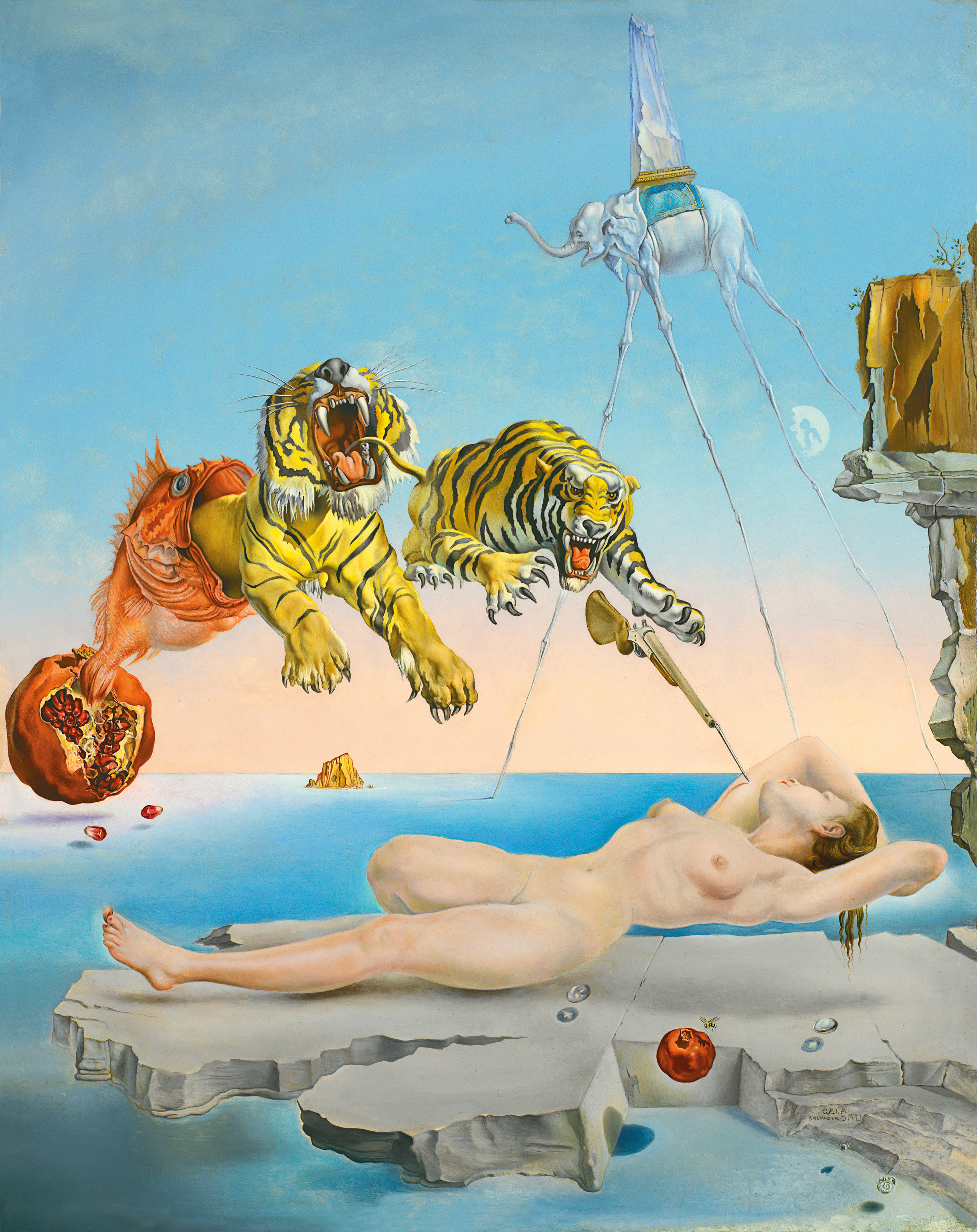 Salvador Dali Dream Caused - HD Wallpaper 