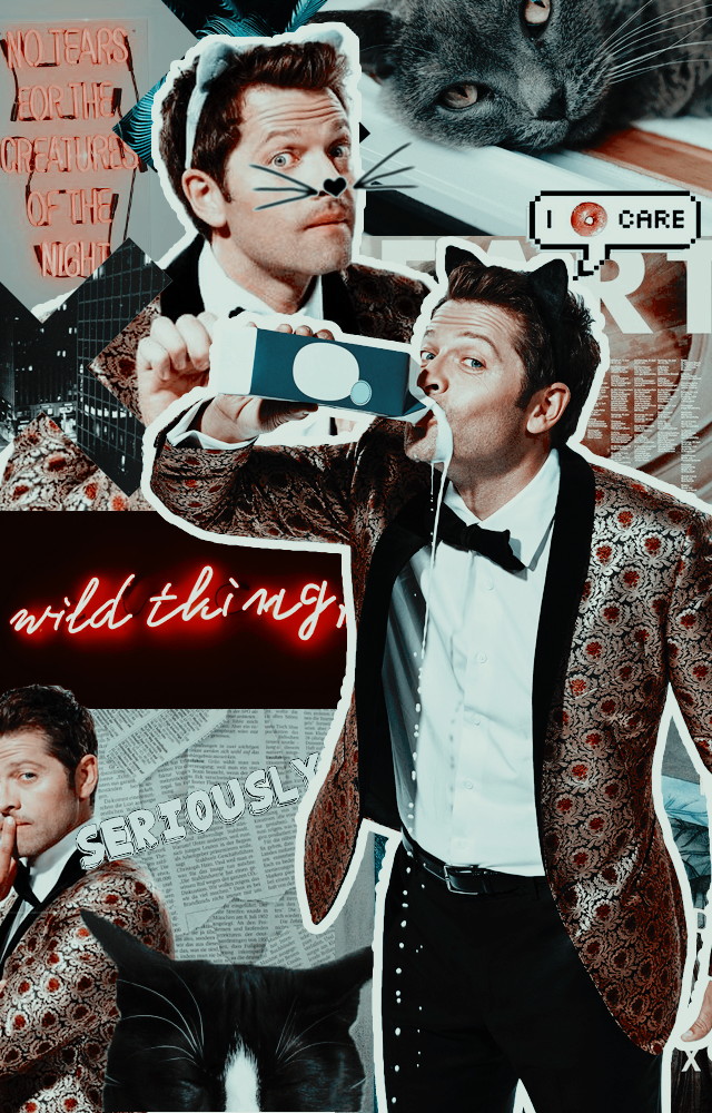 Like Or Reblog If You Save Or Use It - Wholesome Misha Collins - HD Wallpaper 