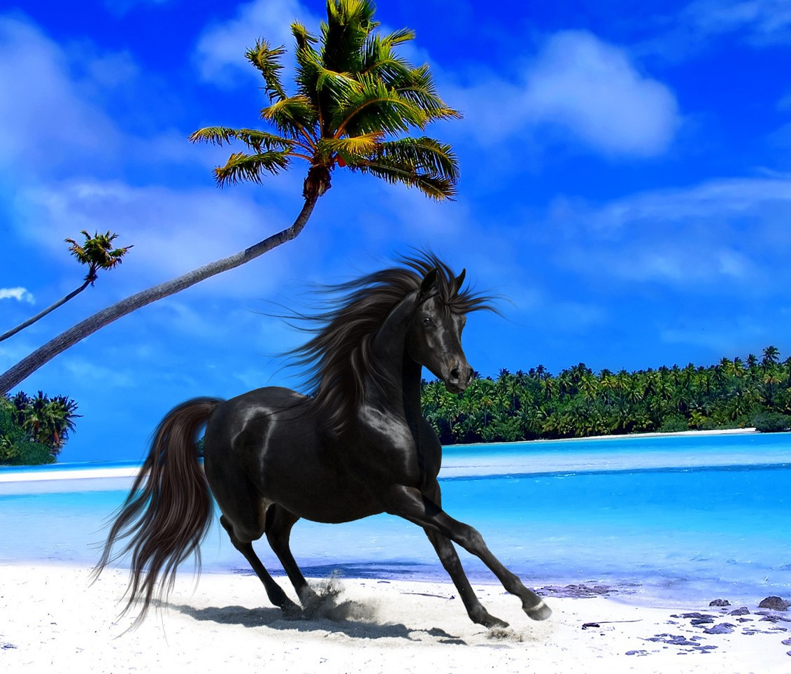 Keep Calm And Go To Bali - HD Wallpaper 