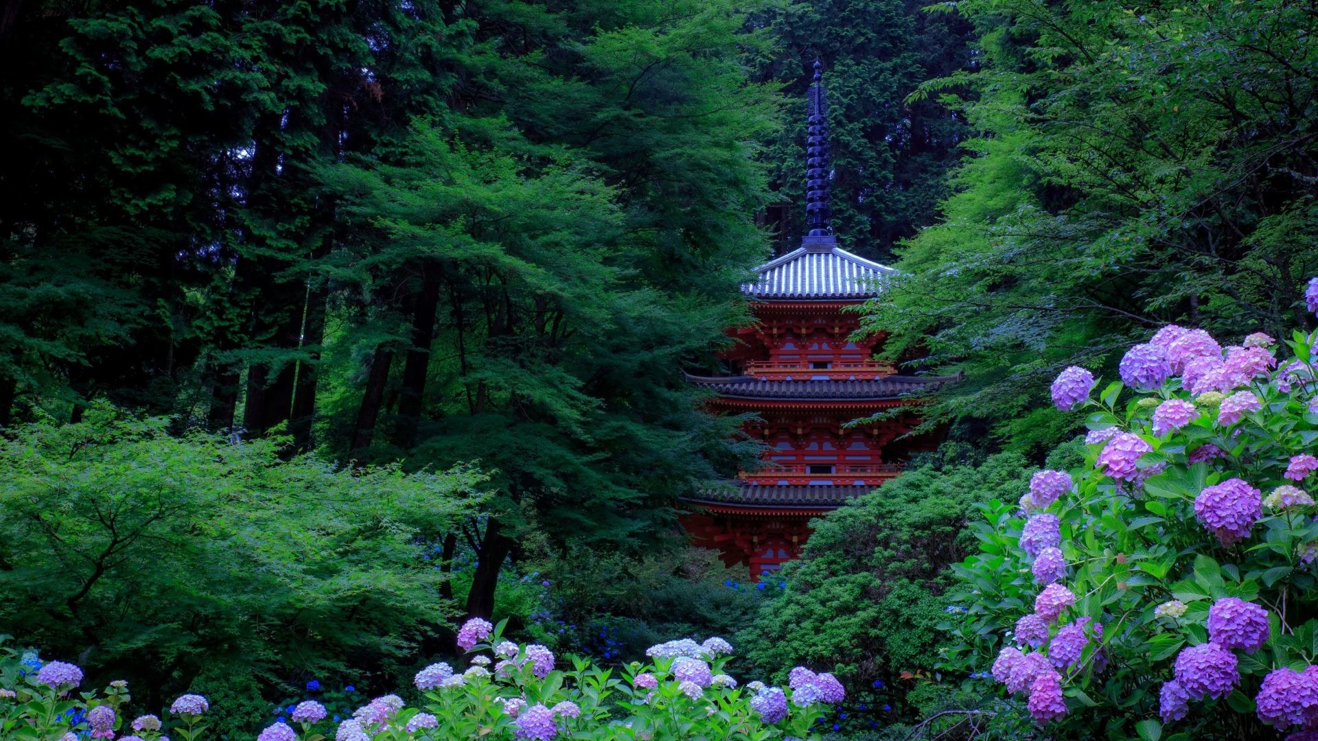 Kyoto Wallpaper - Japan - HD Wallpaper 