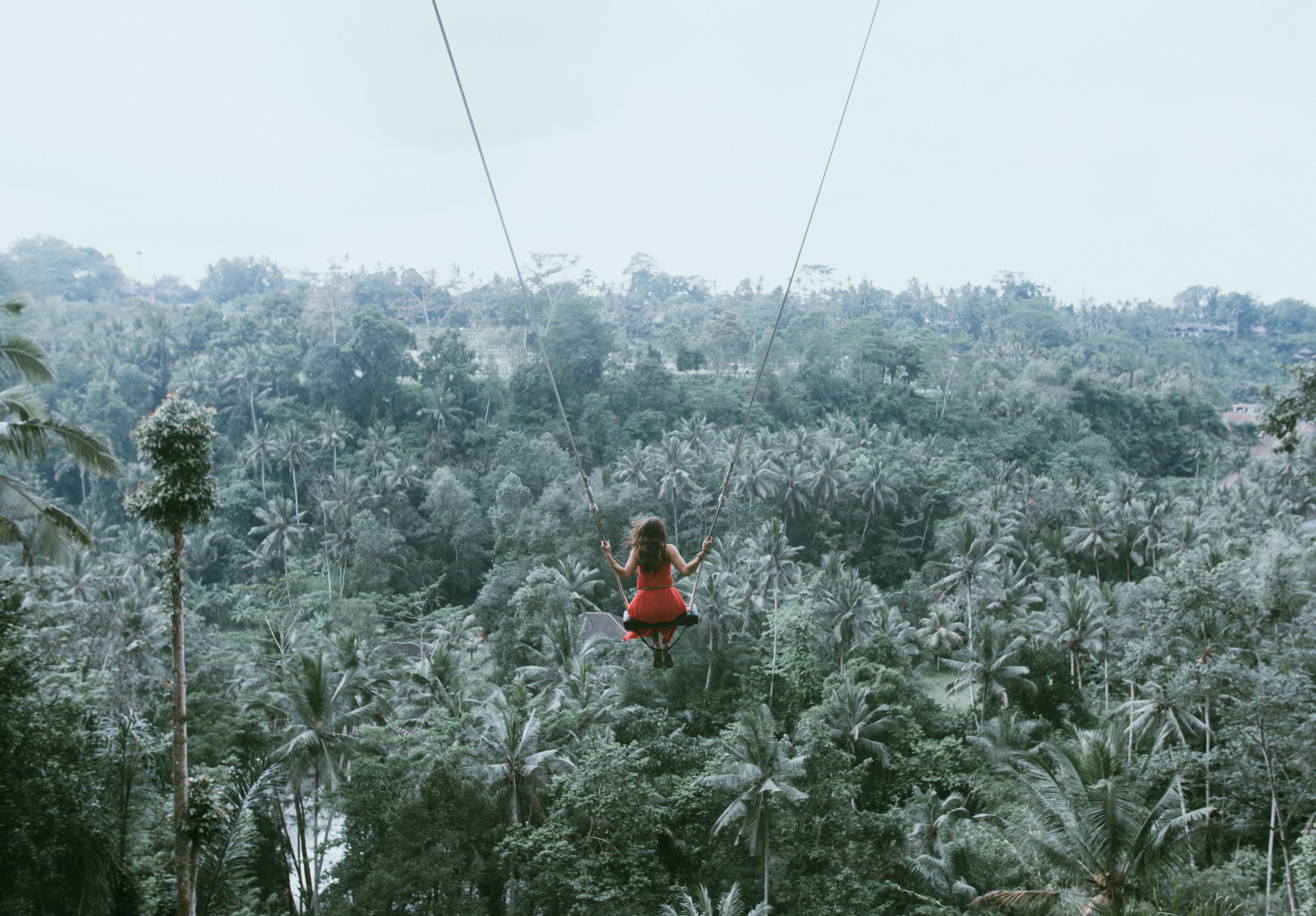 Wallpaper Of Girl, Swing, Forest Background & Hd Image - Bali Ubud Swing Gif - HD Wallpaper 