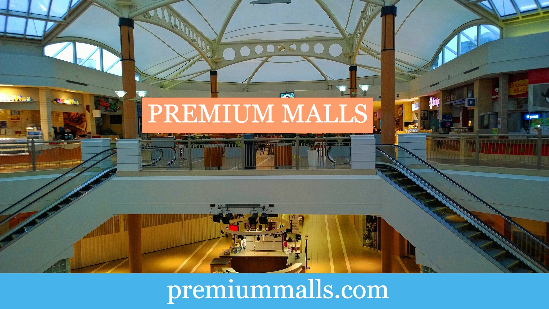 Birds - HD Wallpaper 