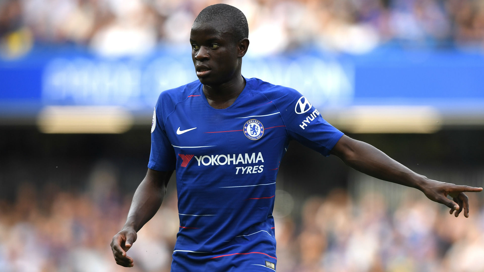 N Golo Kante Chelsea 2019 - HD Wallpaper 