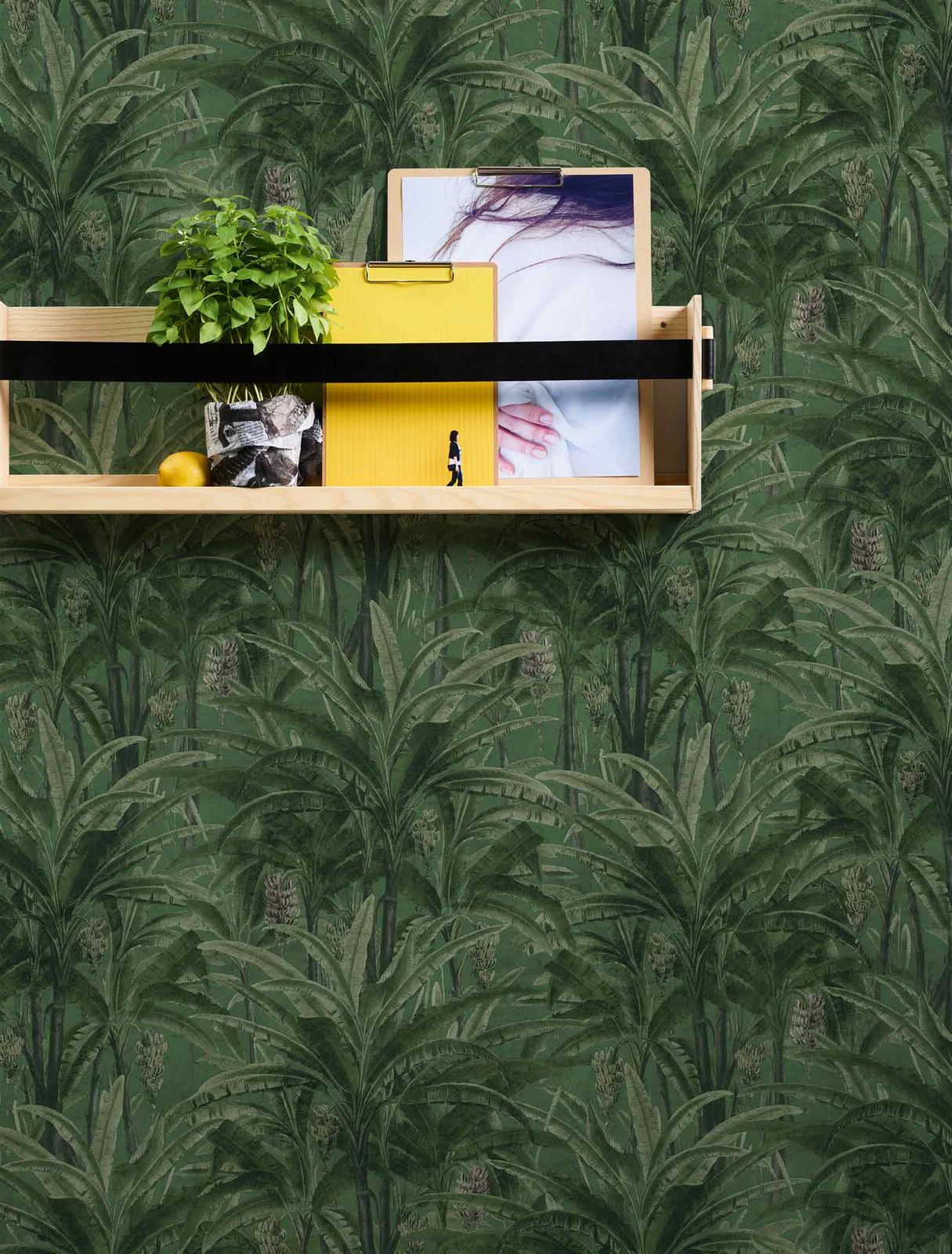 Creation 37216 1 - HD Wallpaper 