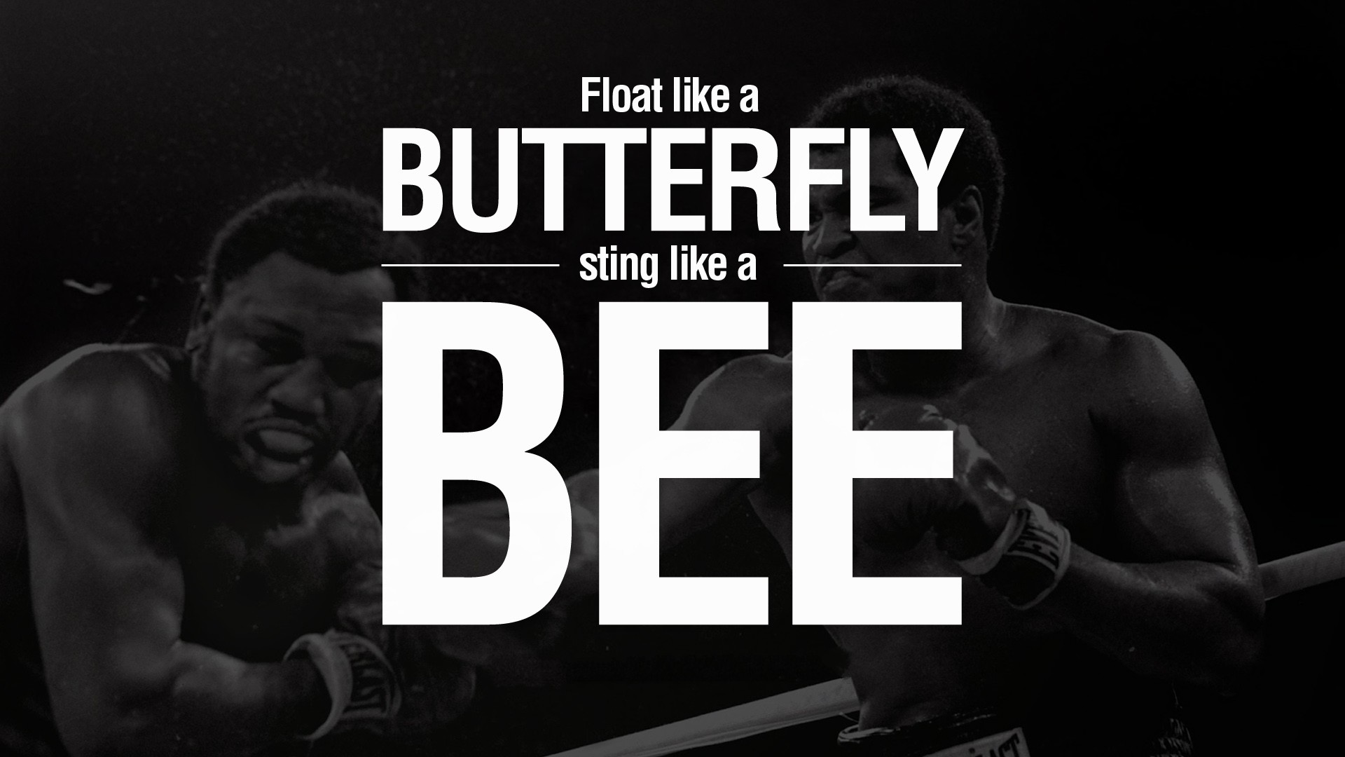 Muhammad Ali Quotes Desktop Background - Muhammad Ali Quote Butterfly - HD Wallpaper 