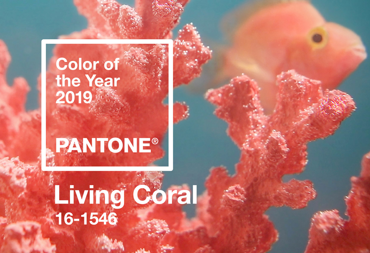Pantone Color Of The Year 2019 Living Coral & Steve - Pantone Color Of The Year 2019 - HD Wallpaper 