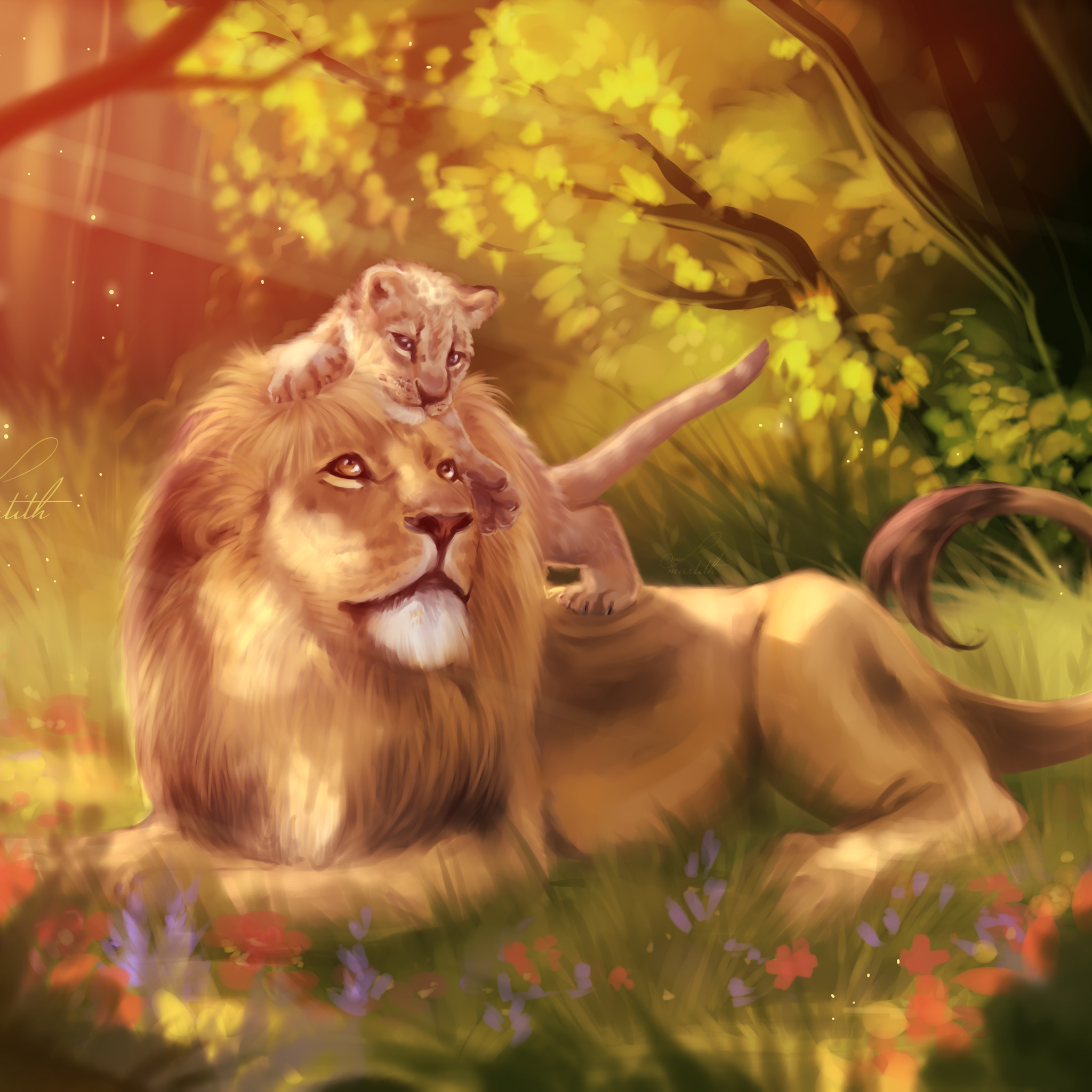 Pequeno Leão Wallpaper - HD Wallpaper 