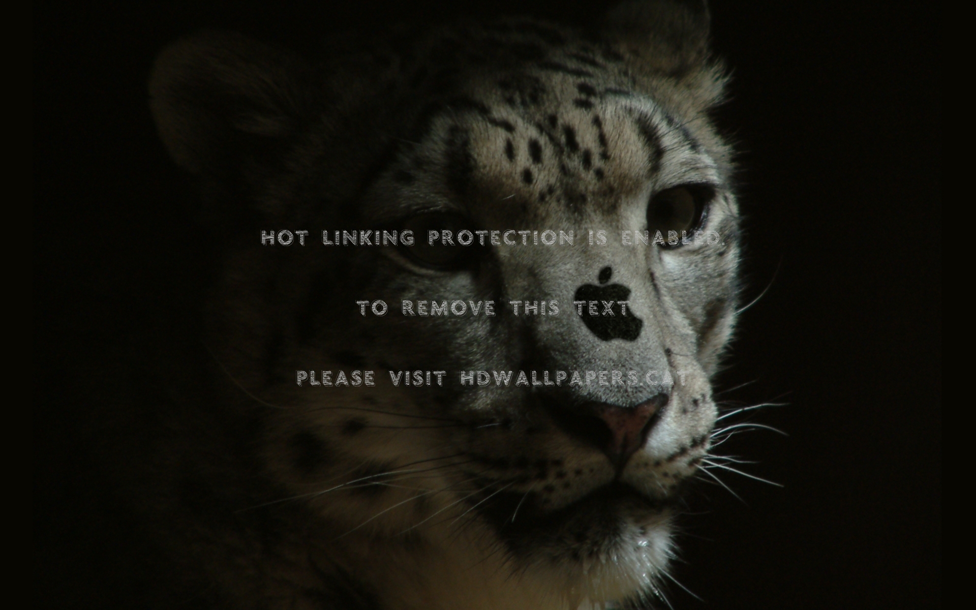 Apple Abstrato Leao Preto Abstract - Mac Wallpaper Leopard - HD Wallpaper 