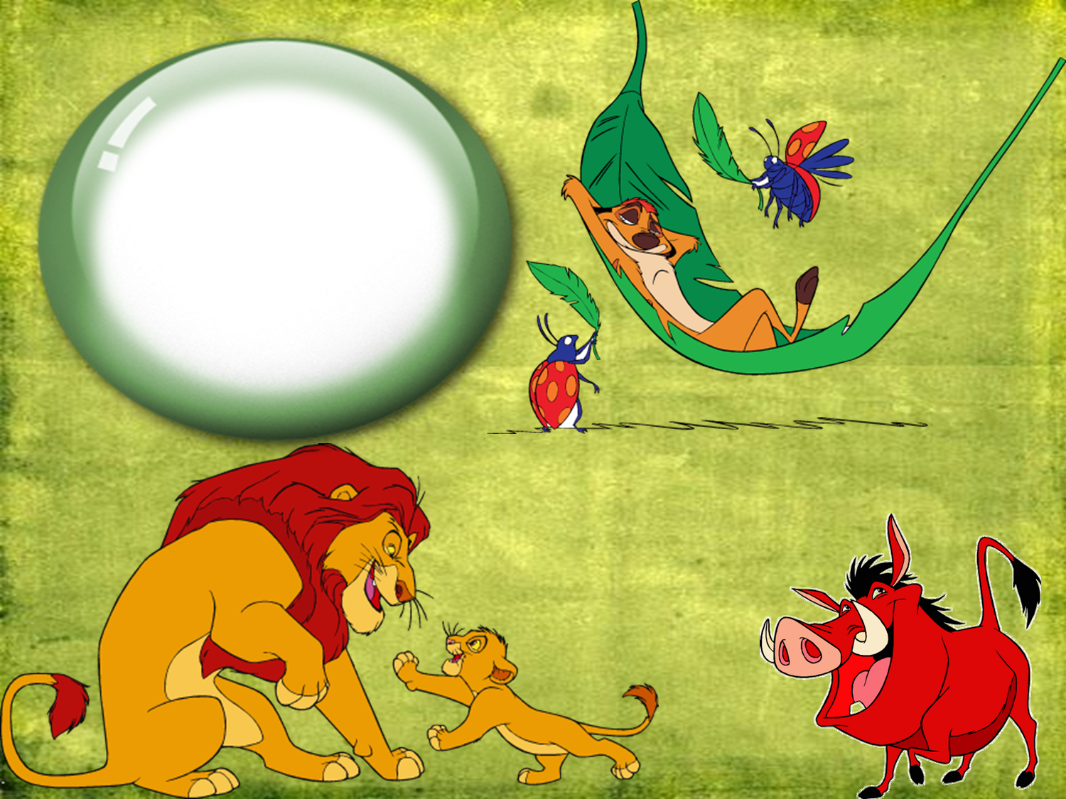 Sandra Molduras Digitais - HD Wallpaper 