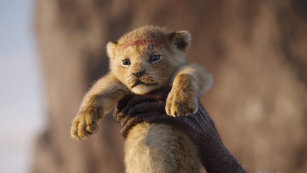 Lion King 2019 Hd - HD Wallpaper 