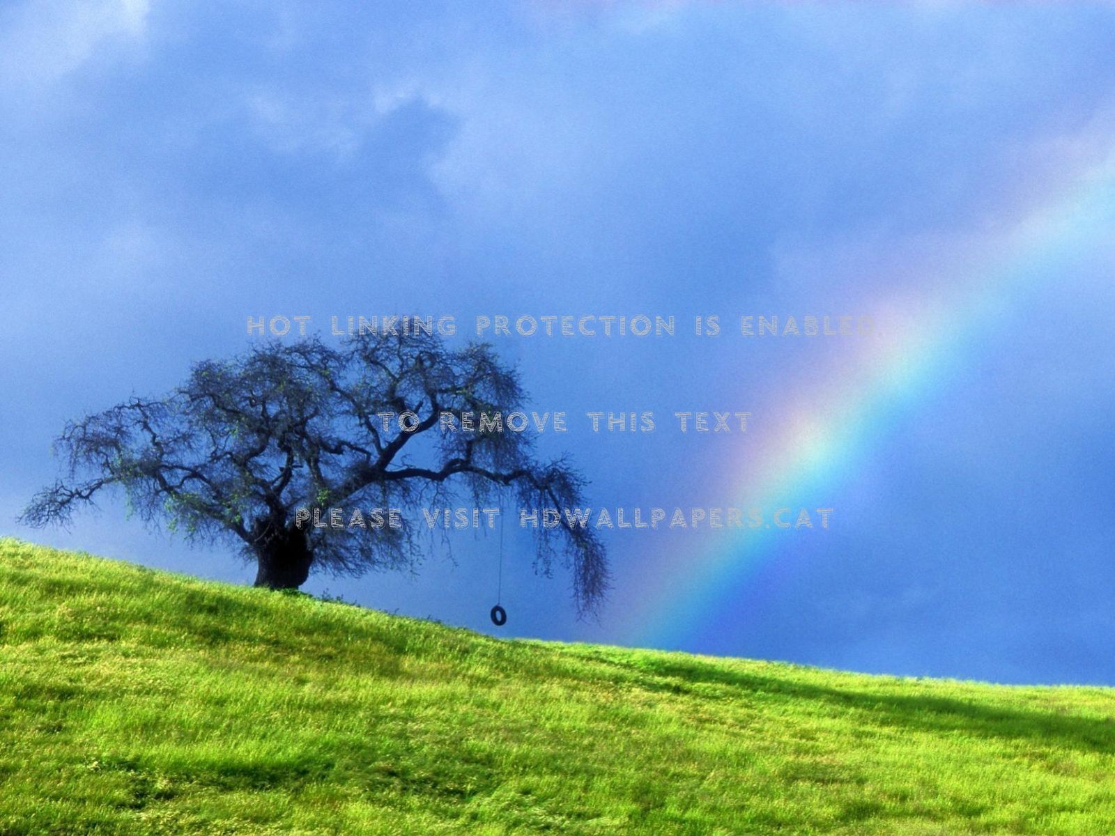 Arco-iris Verde Sol Arvore Chuva Grama - Rainbow Hd - HD Wallpaper 