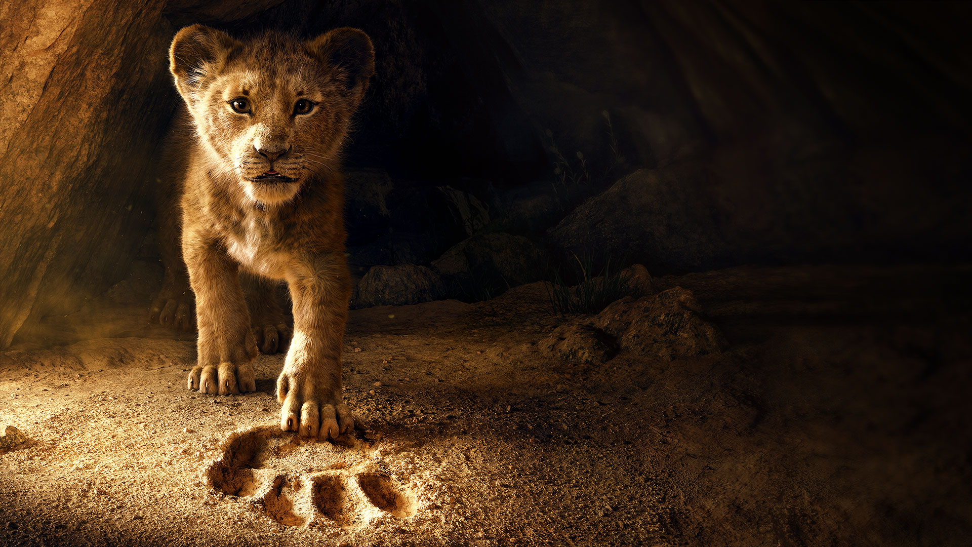 Lion King 2019 Graphics - HD Wallpaper 