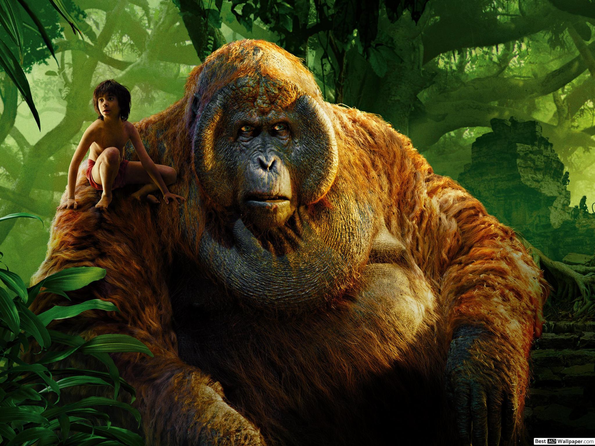 Mowgli 2018 King Louie - HD Wallpaper 