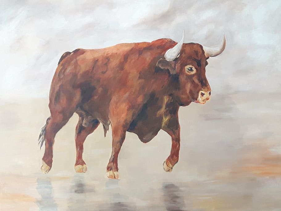 Toro, Red, Canvas, Technical, Mixed, 97cm, 130cm, Cattle, - Canvas - HD Wallpaper 