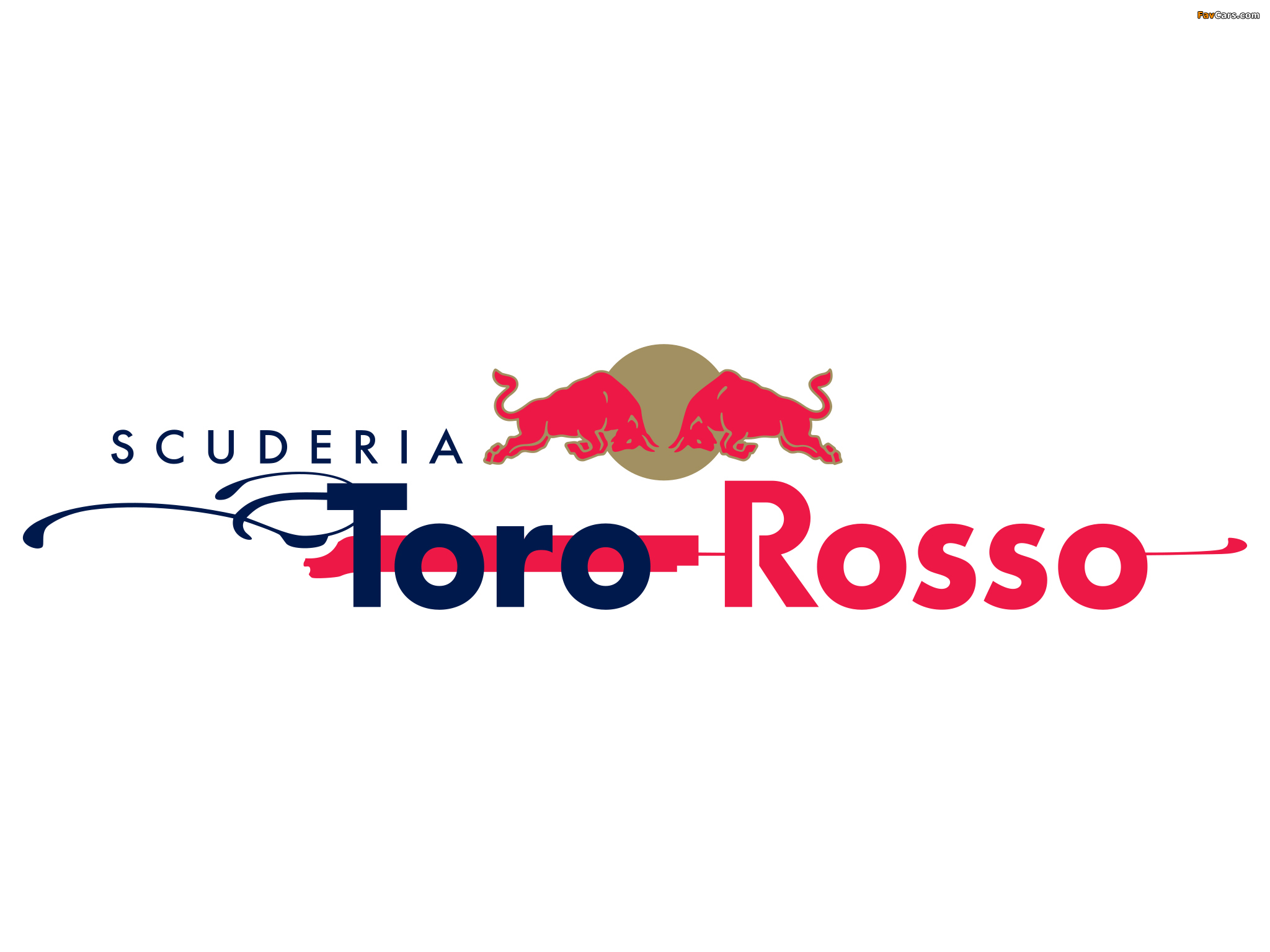 Toro Rosso Wallpapers - Graphic Design - HD Wallpaper 