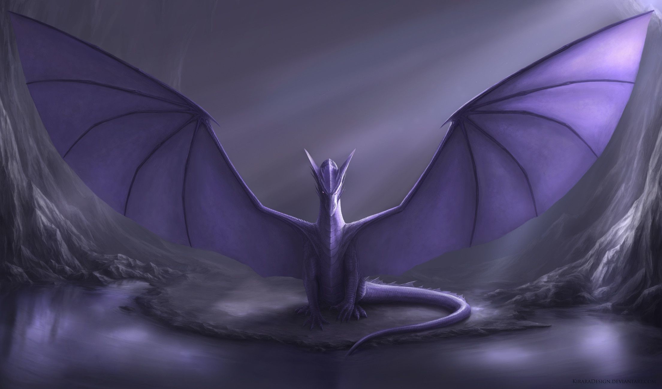 Purple Dragon Wallpapers - Black And Purple Dragons - HD Wallpaper 