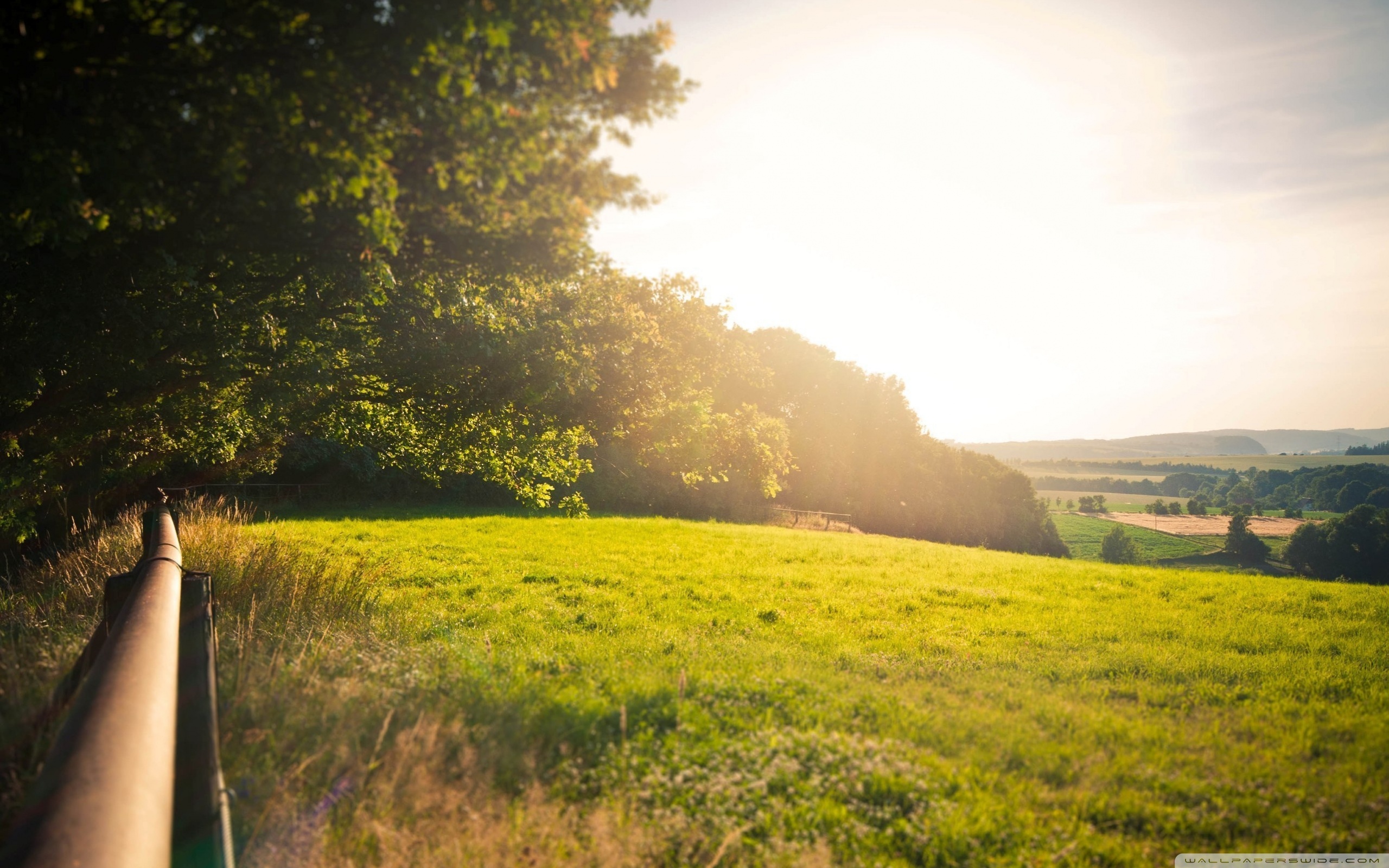 Field Backgrounds - HD Wallpaper 