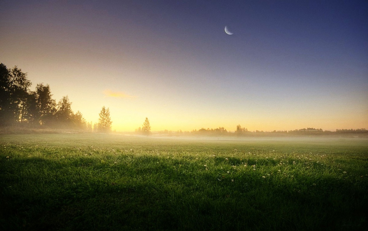 Meadow Trees Morning Foggy Wallpapers - Пейзажи Финляндии - HD Wallpaper 