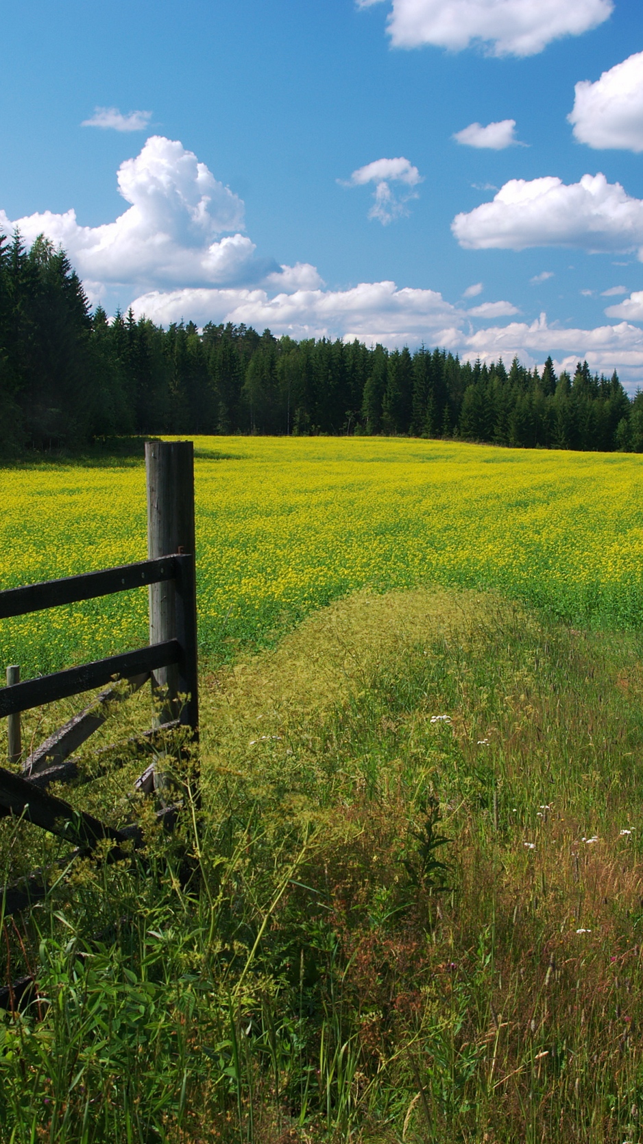Wallpaper Meadow, Flowers, Clouds, Gate, Protection, - Обои На Телефон Фермы - HD Wallpaper 