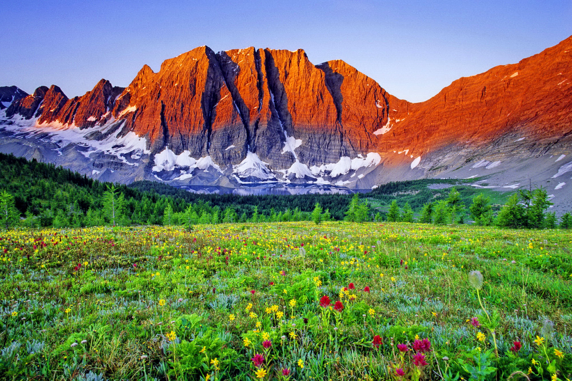 Natural Mountain Meadow - Mountains And Meadows Landscape - HD Wallpaper 