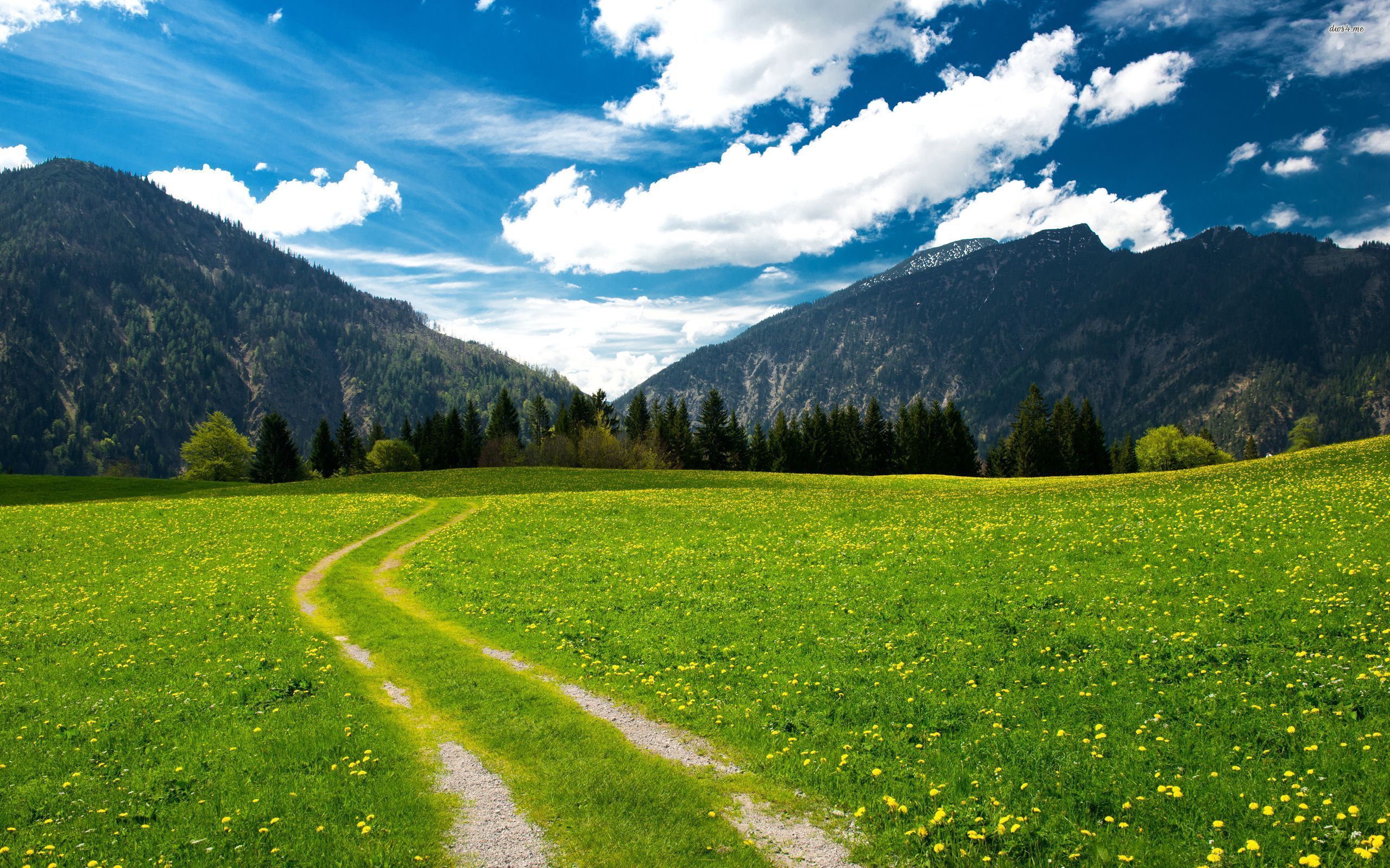 Landscape Pasture - HD Wallpaper 