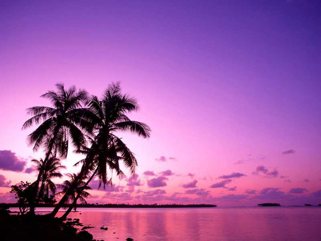 Cute Wallpaper Of Sunsets - HD Wallpaper 