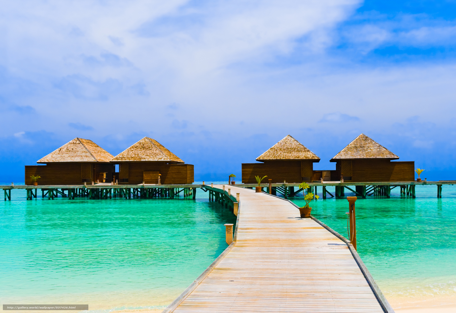 Download Wallpaper Caribbean, Sea, Water, Bungalows - Domki Na Palach - HD Wallpaper 