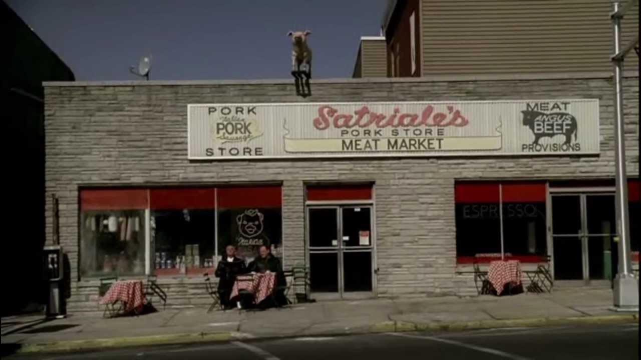 Sopranos Cat 1280x720 Wallpaper teahub.io