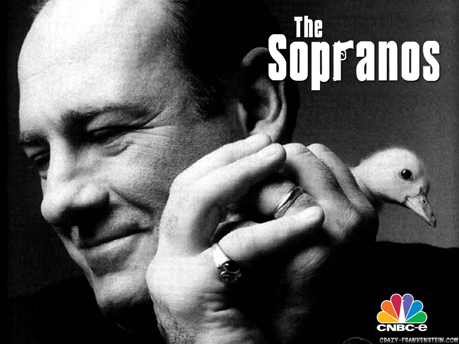 Tony Soprano Duck - HD Wallpaper 