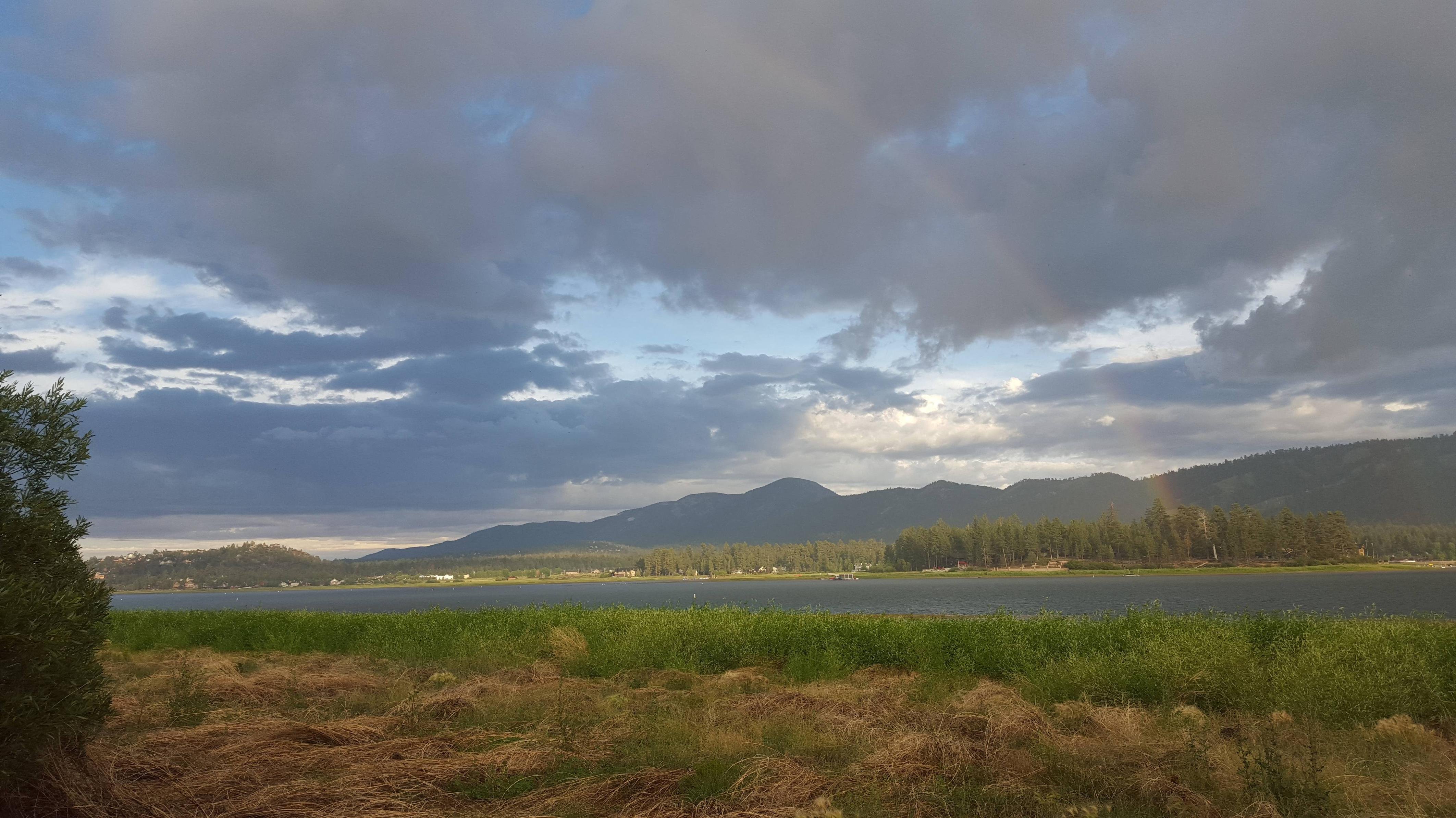 Went Camping At Big Bear Lake Ca - Tree - HD Wallpaper 